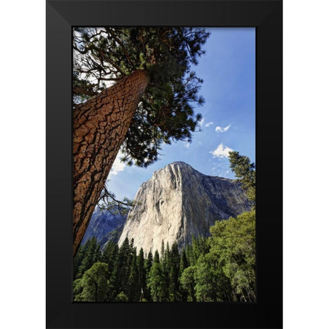 California, Yosemite View of El Capitan landmark Black Modern Wood Framed Art Print by Flaherty, Dennis