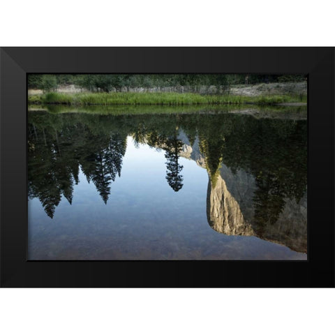 California, Yosemite El Capitan and Merced River Black Modern Wood Framed Art Print by Flaherty, Dennis