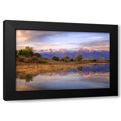 California, Bishop Sierra Mts from Farmers Pond Black Modern Wood Framed Art Print by Flaherty, Dennis