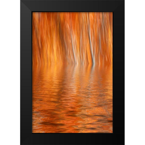 CA, Grant Lake Abstract of autumn aspen trees Black Modern Wood Framed Art Print by Flaherty, Dennis