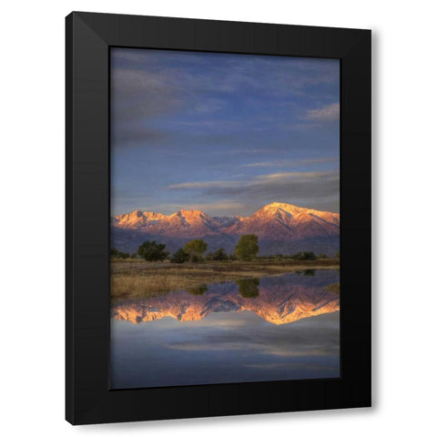 California, Bishop Sierra Mts from Farmers Pond Black Modern Wood Framed Art Print with Double Matting by Flaherty, Dennis