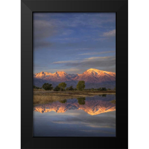 California, Bishop Sierra Mts from Farmers Pond Black Modern Wood Framed Art Print by Flaherty, Dennis