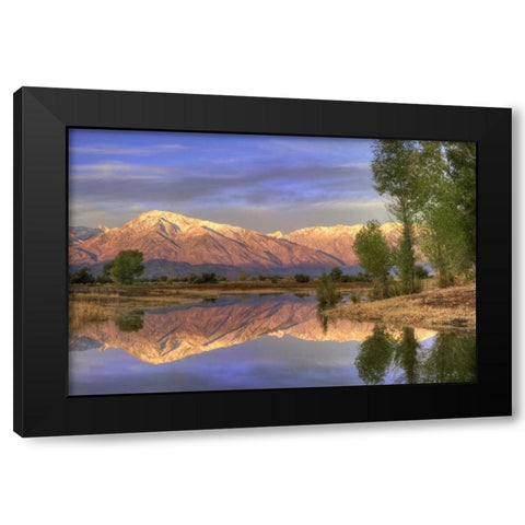 CA, Bishop Reflection of Mt Tom in Farmers Pond Black Modern Wood Framed Art Print with Double Matting by Flaherty, Dennis