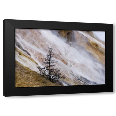 Wyoming Mammoth Hot Springs waterfall Black Modern Wood Framed Art Print with Double Matting by Bush, Marie