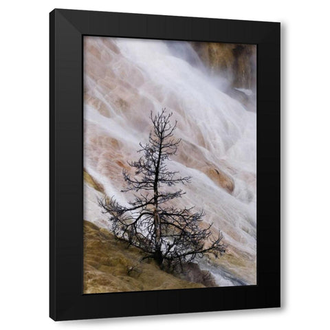 Wyoming Mammoth Hot Springs waterfall Black Modern Wood Framed Art Print with Double Matting by Bush, Marie