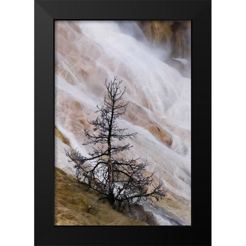 Wyoming Mammoth Hot Springs waterfall Black Modern Wood Framed Art Print by Bush, Marie