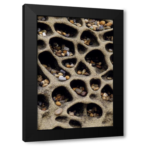 California Pebbles collected in rock cavities Black Modern Wood Framed Art Print with Double Matting by Bush, Marie