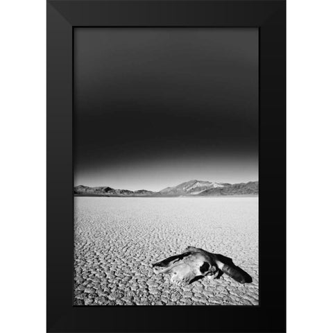 California, Death Valley NP Weathered cow skull Black Modern Wood Framed Art Print by Flaherty, Dennis