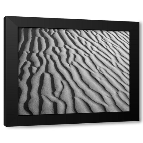 California, Death Valley NP Sand dune patterns Black Modern Wood Framed Art Print by Flaherty, Dennis