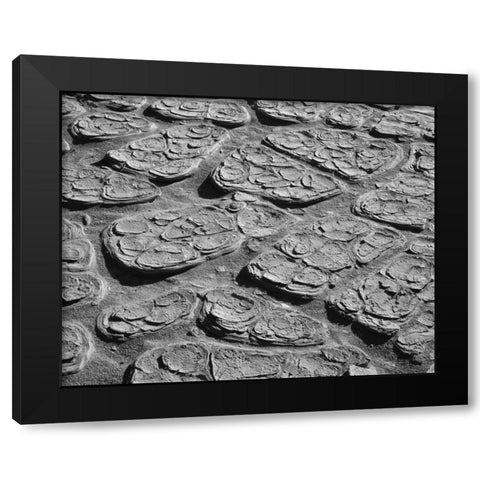 CA, Death Valley Cracked mud of the playa floor Black Modern Wood Framed Art Print by Flaherty, Dennis