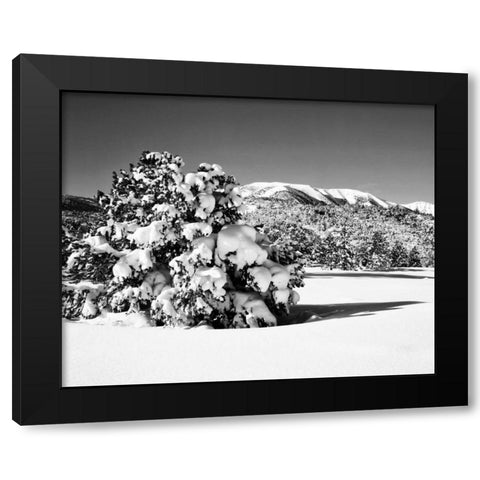 CA, Sierra Nevada Morning on winter landscape Black Modern Wood Framed Art Print by Flaherty, Dennis