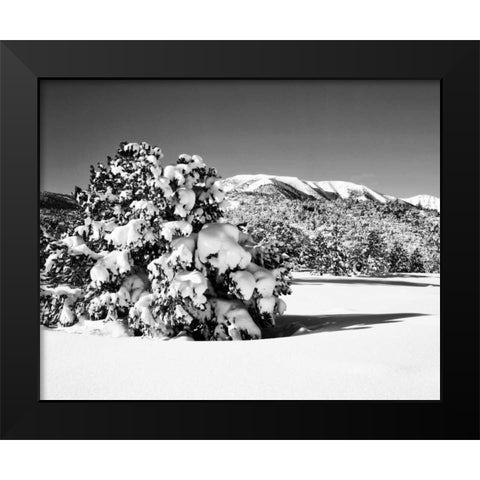 CA, Sierra Nevada Morning on winter landscape Black Modern Wood Framed Art Print by Flaherty, Dennis