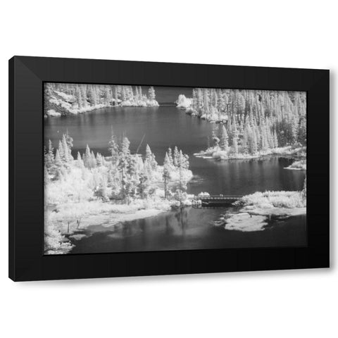 CA, Mammoth Lakes Basin Aerial of Twin Lakes Black Modern Wood Framed Art Print by Flaherty, Dennis