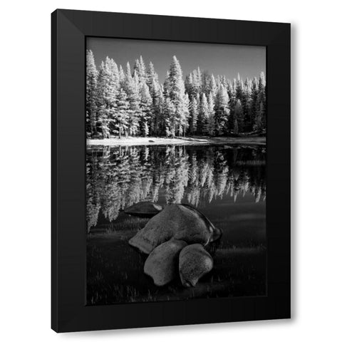 California, Yosemite Forest reflects in a pond Black Modern Wood Framed Art Print with Double Matting by Flaherty, Dennis