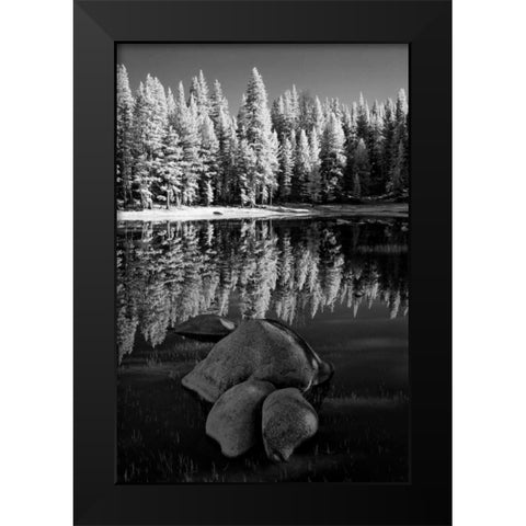 California, Yosemite Forest reflects in a pond Black Modern Wood Framed Art Print by Flaherty, Dennis