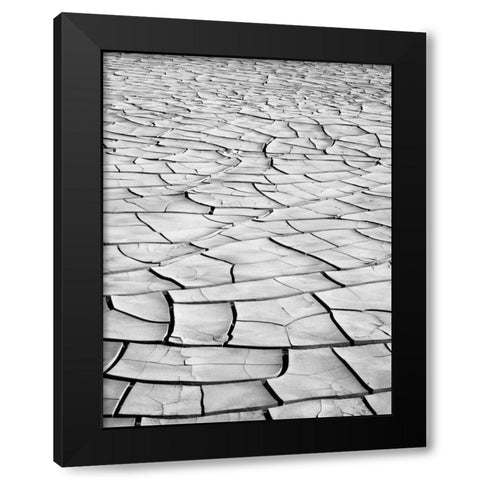 California, Death Valley Patterns in dried mud Black Modern Wood Framed Art Print with Double Matting by Flaherty, Dennis