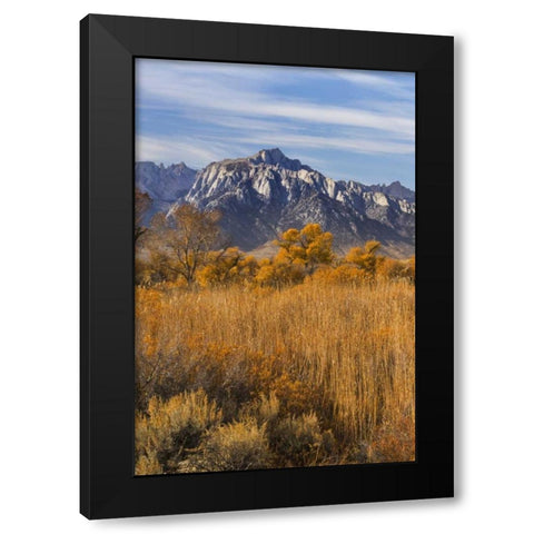 California Lone Pine Peak from Alabama Hills Black Modern Wood Framed Art Print by Paulson, Don