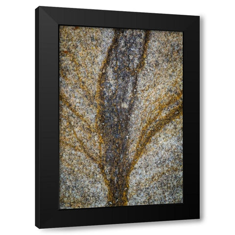 California, Alabama Hills Close-up of rock stain Black Modern Wood Framed Art Print by Paulson, Don