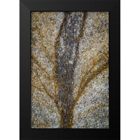 California, Alabama Hills Close-up of rock stain Black Modern Wood Framed Art Print by Paulson, Don