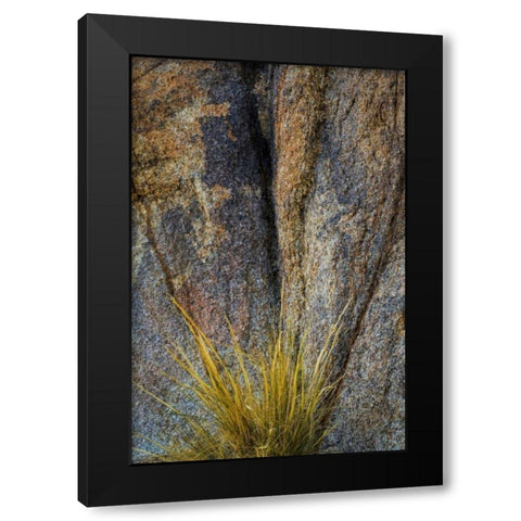 California, Alabama Hills Rock face and grass Black Modern Wood Framed Art Print with Double Matting by Paulson, Don