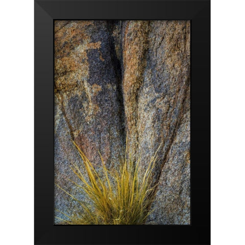 California, Alabama Hills Rock face and grass Black Modern Wood Framed Art Print by Paulson, Don