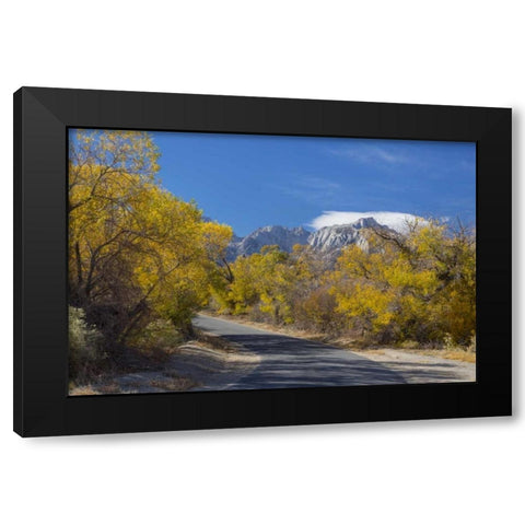 California, Alabama Hills Tuttle Creek Road Black Modern Wood Framed Art Print with Double Matting by Paulson, Don