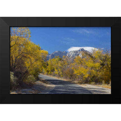 California, Alabama Hills Tuttle Creek Road Black Modern Wood Framed Art Print by Paulson, Don