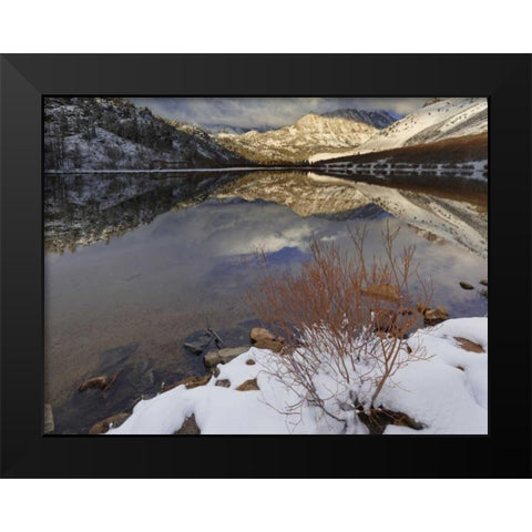 California, Sierra Nevada Spring at North Lake Black Modern Wood Framed Art Print by Flaherty, Dennis