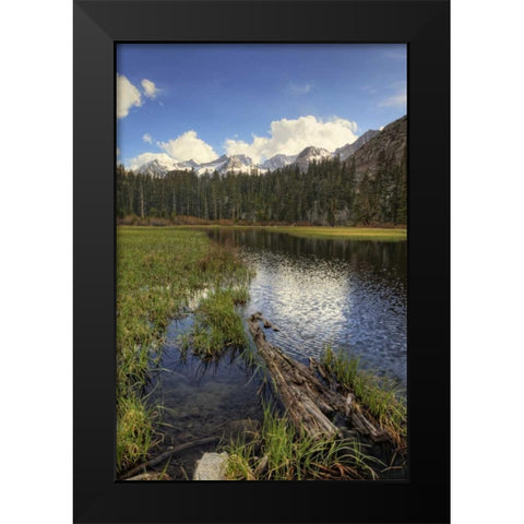 California, Sierra Nevada Weir Pond landscape Black Modern Wood Framed Art Print by Flaherty, Dennis