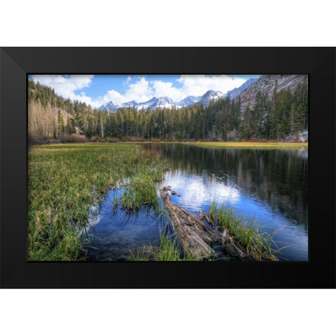 California, Sierra Nevada Weir Pond landscape Black Modern Wood Framed Art Print by Flaherty, Dennis