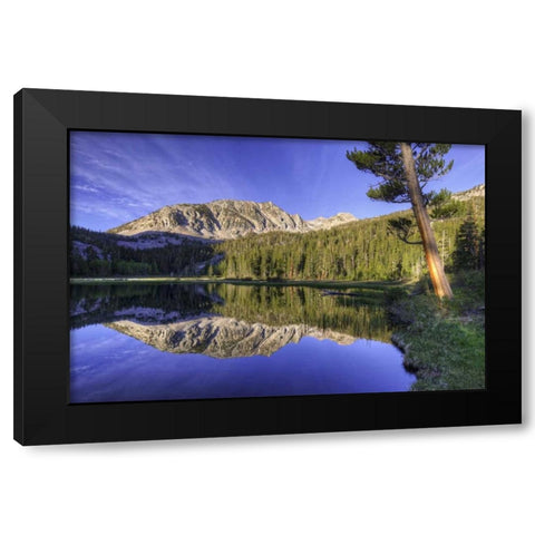 California, Sierra Nevada Grass Lake reflection Black Modern Wood Framed Art Print with Double Matting by Flaherty, Dennis