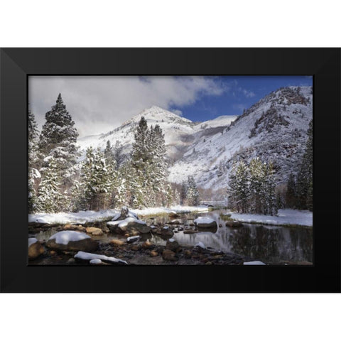 California, Sierra Nevada Spring at North Lake Black Modern Wood Framed Art Print by Flaherty, Dennis