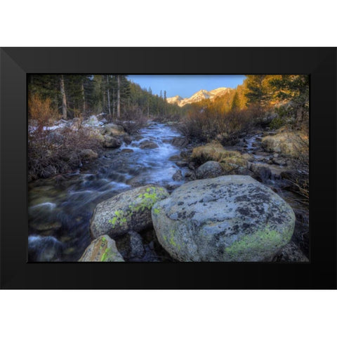 California, Sierra Nevada Rock Creek landscape Black Modern Wood Framed Art Print by Flaherty, Dennis