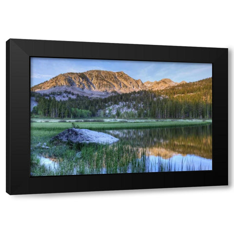 California, Sierra Nevada Grass Lake reflection Black Modern Wood Framed Art Print with Double Matting by Flaherty, Dennis