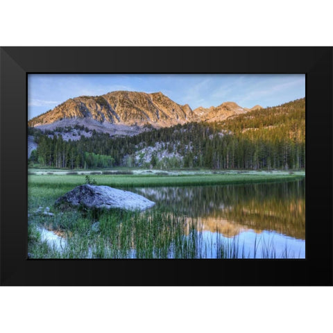 California, Sierra Nevada Grass Lake reflection Black Modern Wood Framed Art Print by Flaherty, Dennis