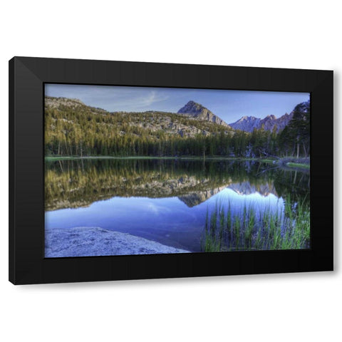 California, Sierra Nevada Grass Lake reflection Black Modern Wood Framed Art Print with Double Matting by Flaherty, Dennis