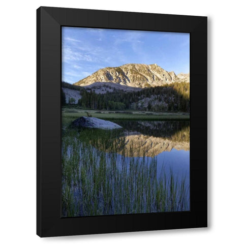 California, Sierra Nevada Grass Lake reflection Black Modern Wood Framed Art Print with Double Matting by Flaherty, Dennis