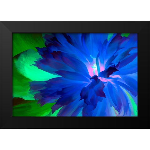 California Abstract of blooming peony flower Black Modern Wood Framed Art Print by Jaynes Gallery