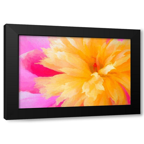 California Abstract of blooming peony flower Black Modern Wood Framed Art Print by Jaynes Gallery