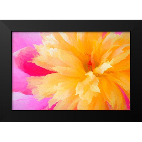 California Abstract of blooming peony flower Black Modern Wood Framed Art Print by Jaynes Gallery