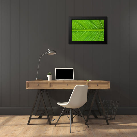 California Vein patterns in green leaf Black Modern Wood Framed Art Print by Jaynes Gallery