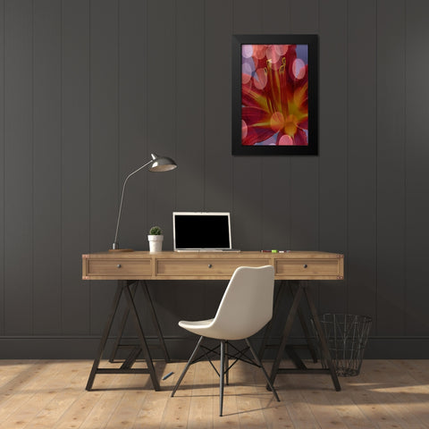 California Abstract of day lily flower Black Modern Wood Framed Art Print by Jaynes Gallery