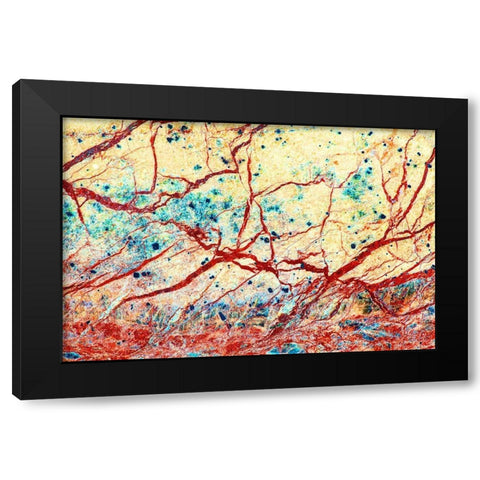 California Detail of marble rock patterns Black Modern Wood Framed Art Print with Double Matting by Jaynes Gallery