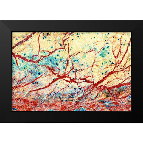 California Detail of marble rock patterns Black Modern Wood Framed Art Print by Jaynes Gallery