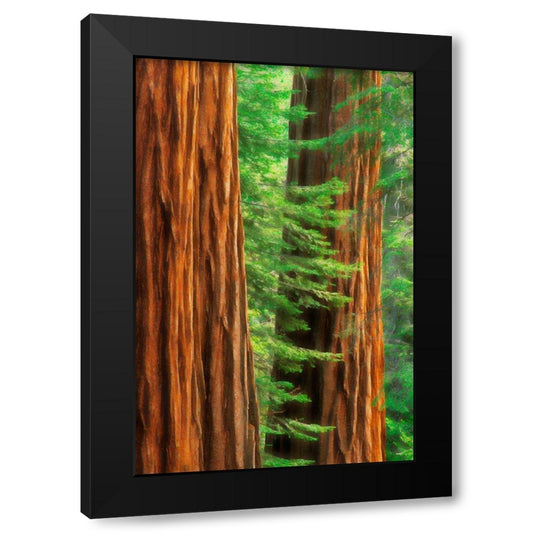Perspective Image