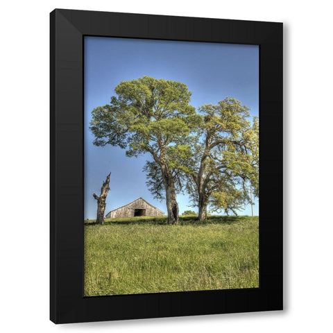 Usa-California Peaceful rural setting near Folsom Suburban sprawl is only a few miles away Black Modern Wood Framed Art Print by Sederquist, Betty
