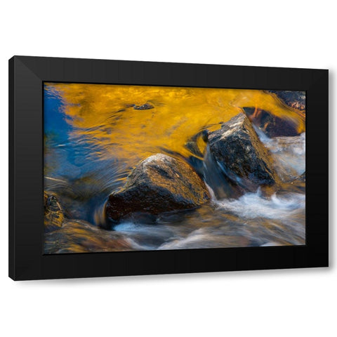 Usa-California Morning sun shines gold on the waters of the South Fork American River Black Modern Wood Framed Art Print by Sederquist, Betty