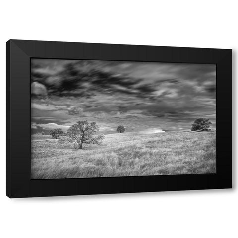 Infrared image of clouds-grasslands and oak trees in Amador County Black Modern Wood Framed Art Print with Double Matting by Sederquist, Betty