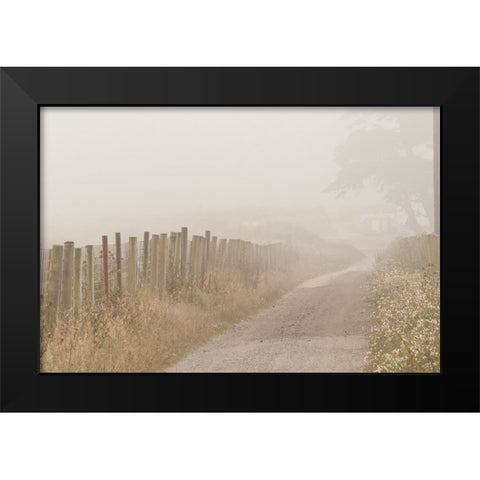 Usa-California Fog blankets this driveway at Point Reyes Black Modern Wood Framed Art Print by Sederquist, Betty