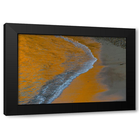 Usa-California The headlands of Point Reyes Black Modern Wood Framed Art Print by Sederquist, Betty